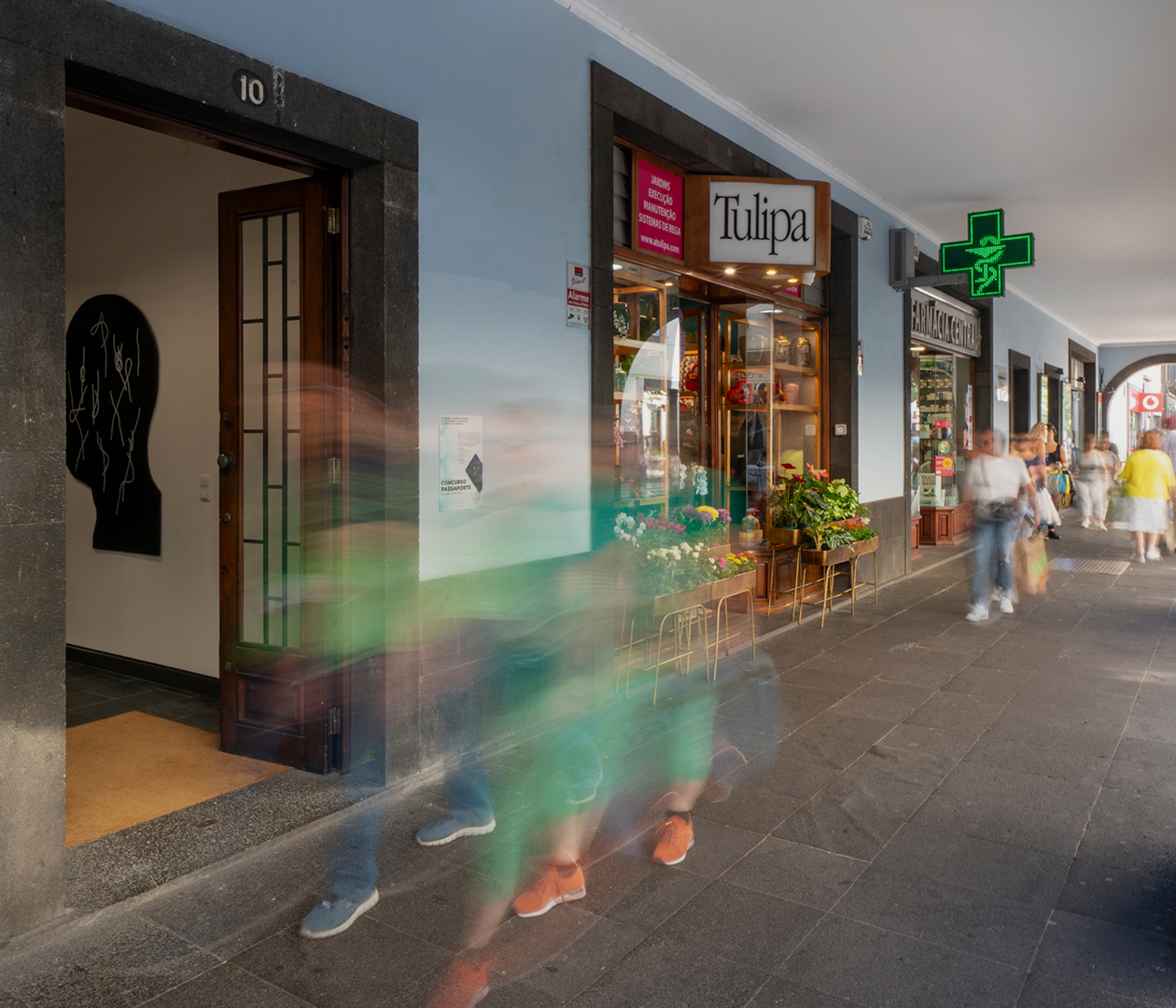 Adolfo Brazão, Advogados